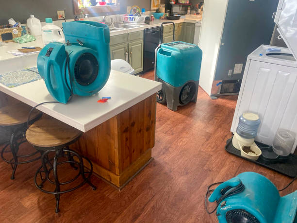 Best Residential water damage restoration  in Combined Locks, WI