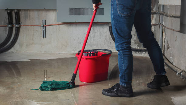 Best Water damage restoration company  in Combined Locks, WI