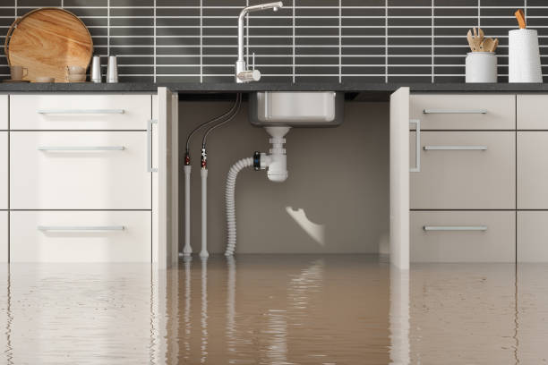 Best Water damage restoration services  in Combined Locks, WI